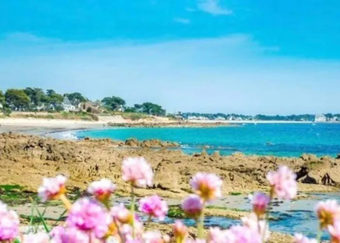 Appartement De Standing A 100M Des Plages