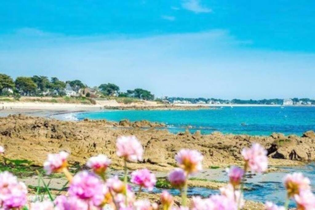 De Standing A 100m Des Plages Carnac